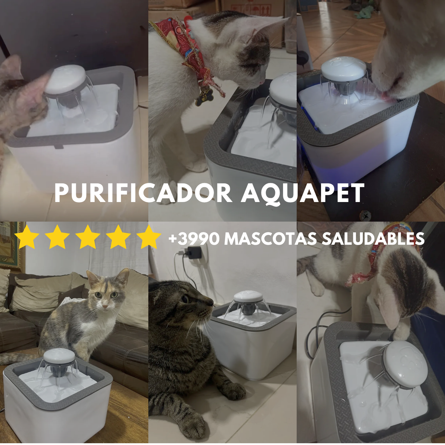AquaPet™ Cuida la salud de tu mascota