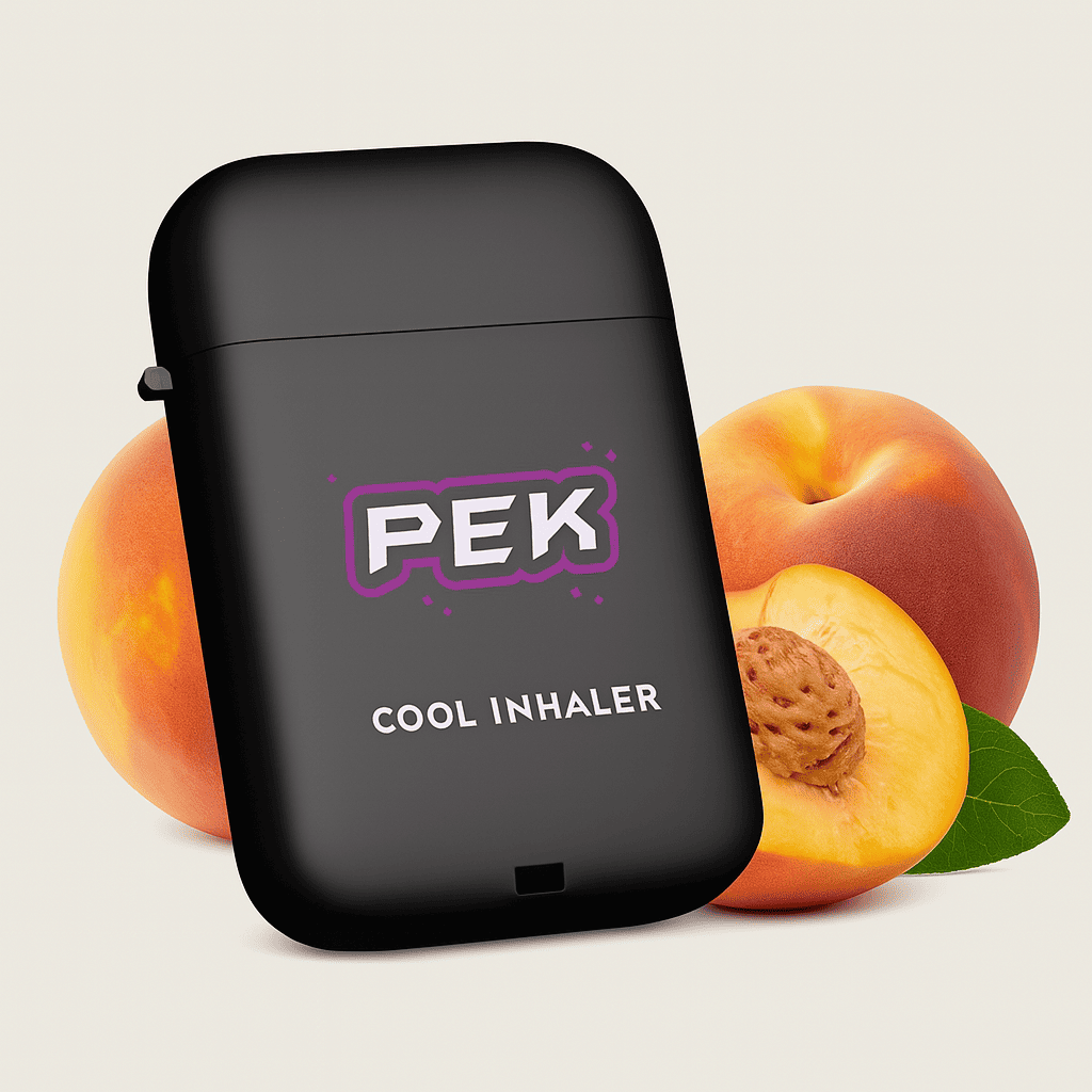 INHALADOR PEK PRO (2.0)