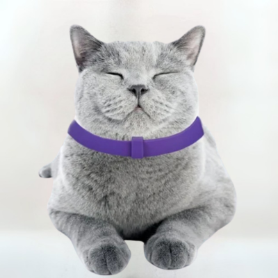 COLLAR RELAJANTE DE FEROMONAS (CALMPET) + EBOOK GRATIS