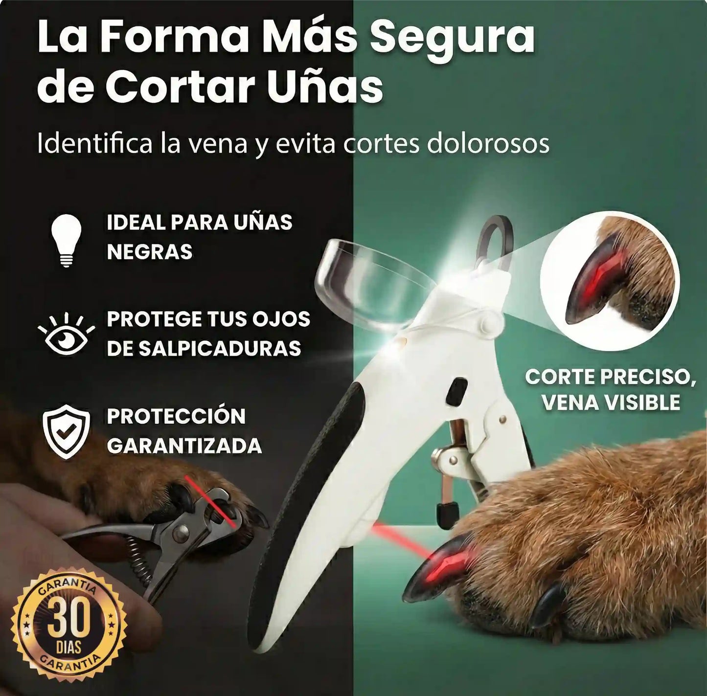 EasyPaw - Recorta de manera precisa y segura
