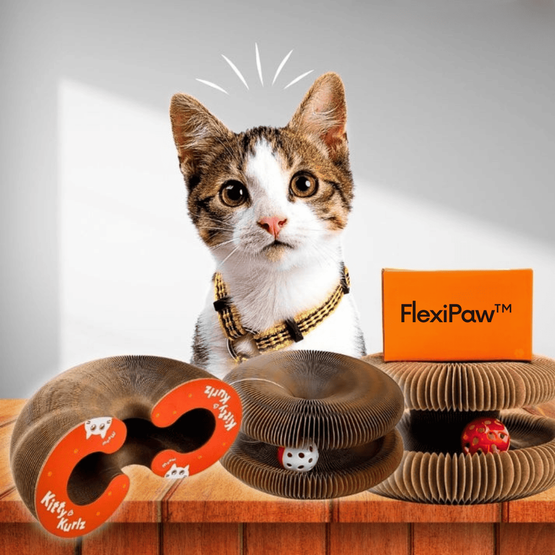 TU HOGAR TRANQUILO Y TU GATO SIEMPRE FELIZ: RASCADOR PARA GATOS (FlexiPaw™)