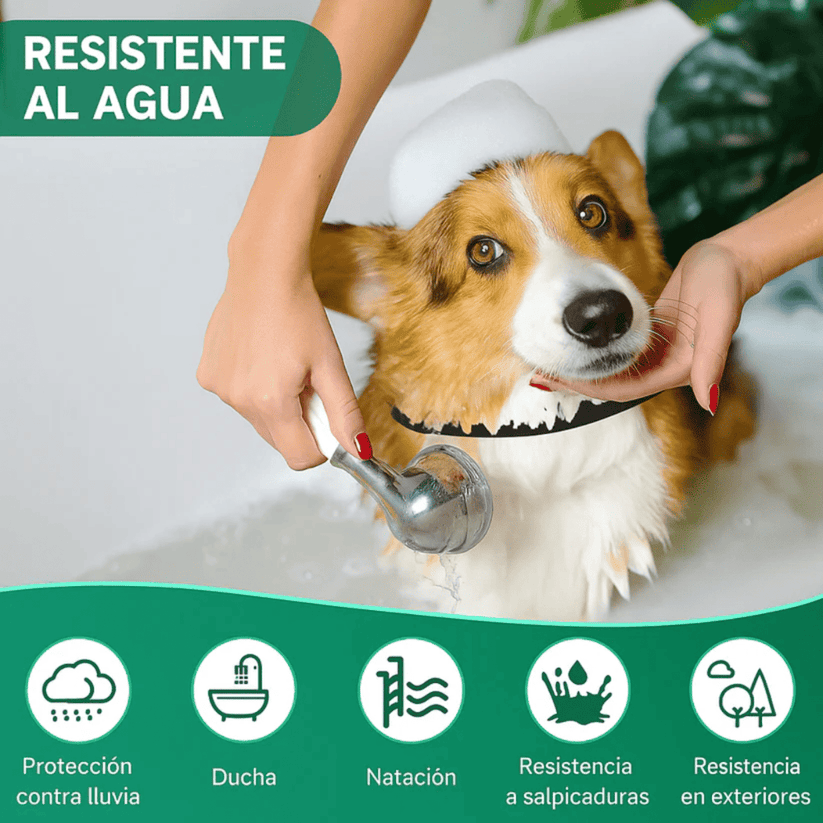 OFERTA 2X1 Collar anti plagas 🛡️ Protege a tu mascota por más de un año