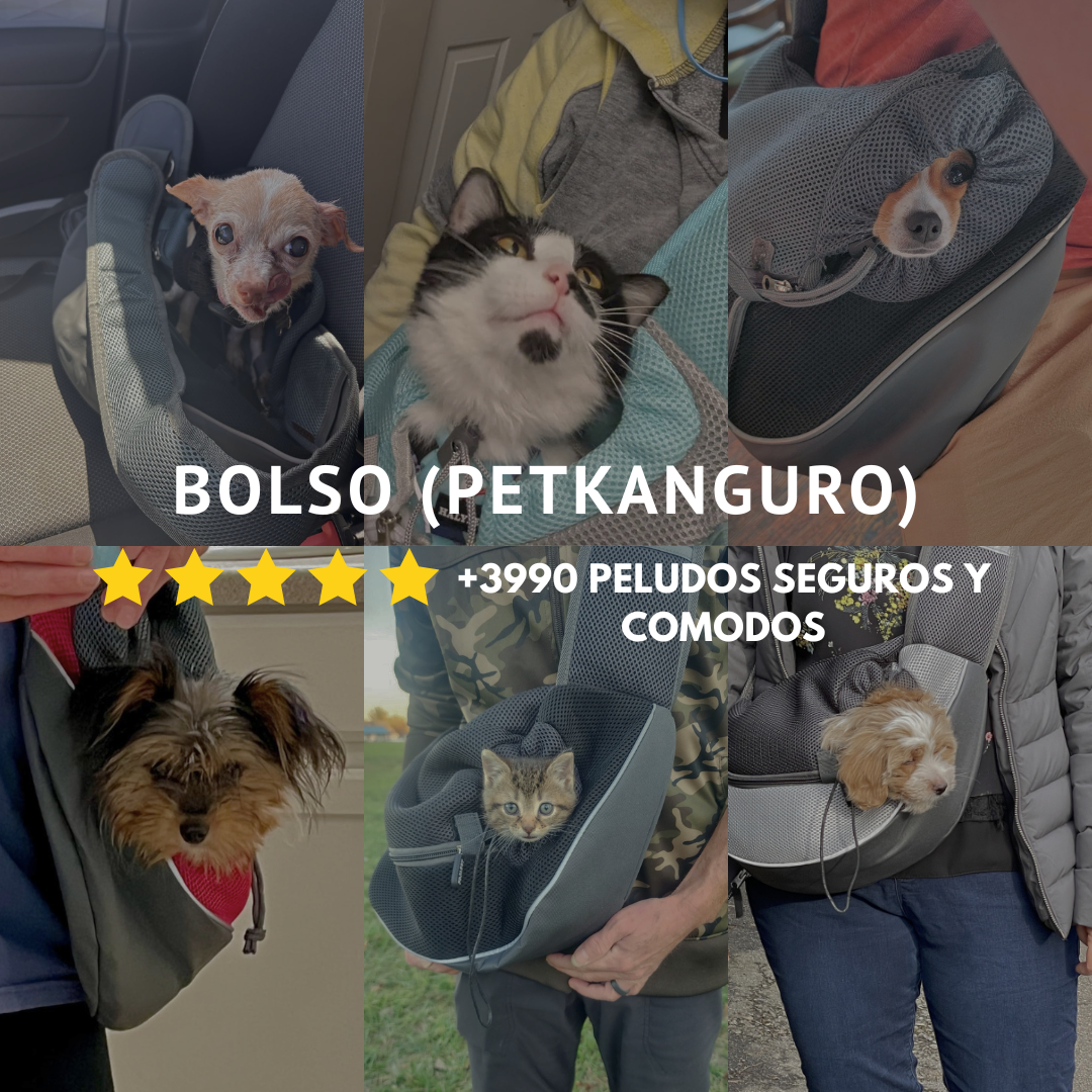 Bolso (PetKanguro) Realiza tus actividades mientras paseas a tu mascota