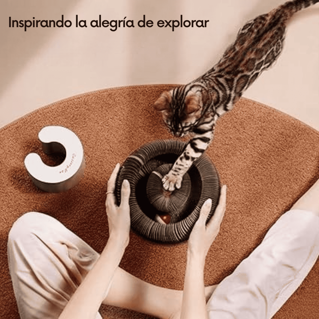 TU HOGAR TRANQUILO Y TU GATO SIEMPRE FELIZ: RASCADOR PARA GATOS (FlexiPaw™)