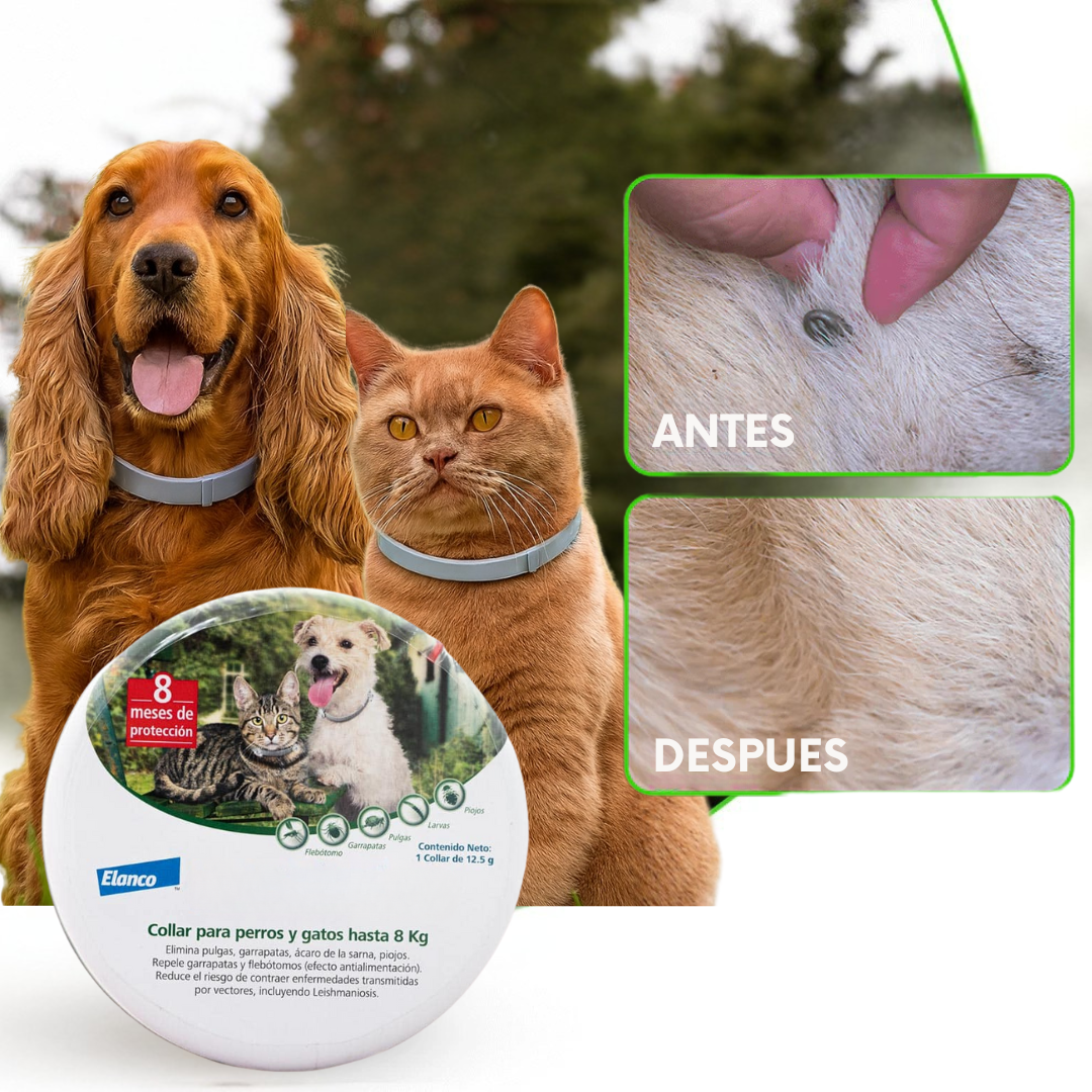 OFERTA 2X1 Collar anti plagas 🛡️ Protege a tu mascota por más de un año