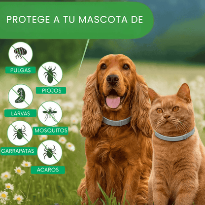 OFERTA 2X1 Collar anti plagas 🛡️ Protege a tu mascota por más de un año
