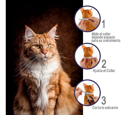 OFERTA 2X1 Collar anti plagas 🛡️ Protege a tu mascota por más de un año