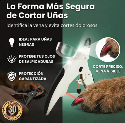 EasyPaw - Recorta de manera precisa y segura
