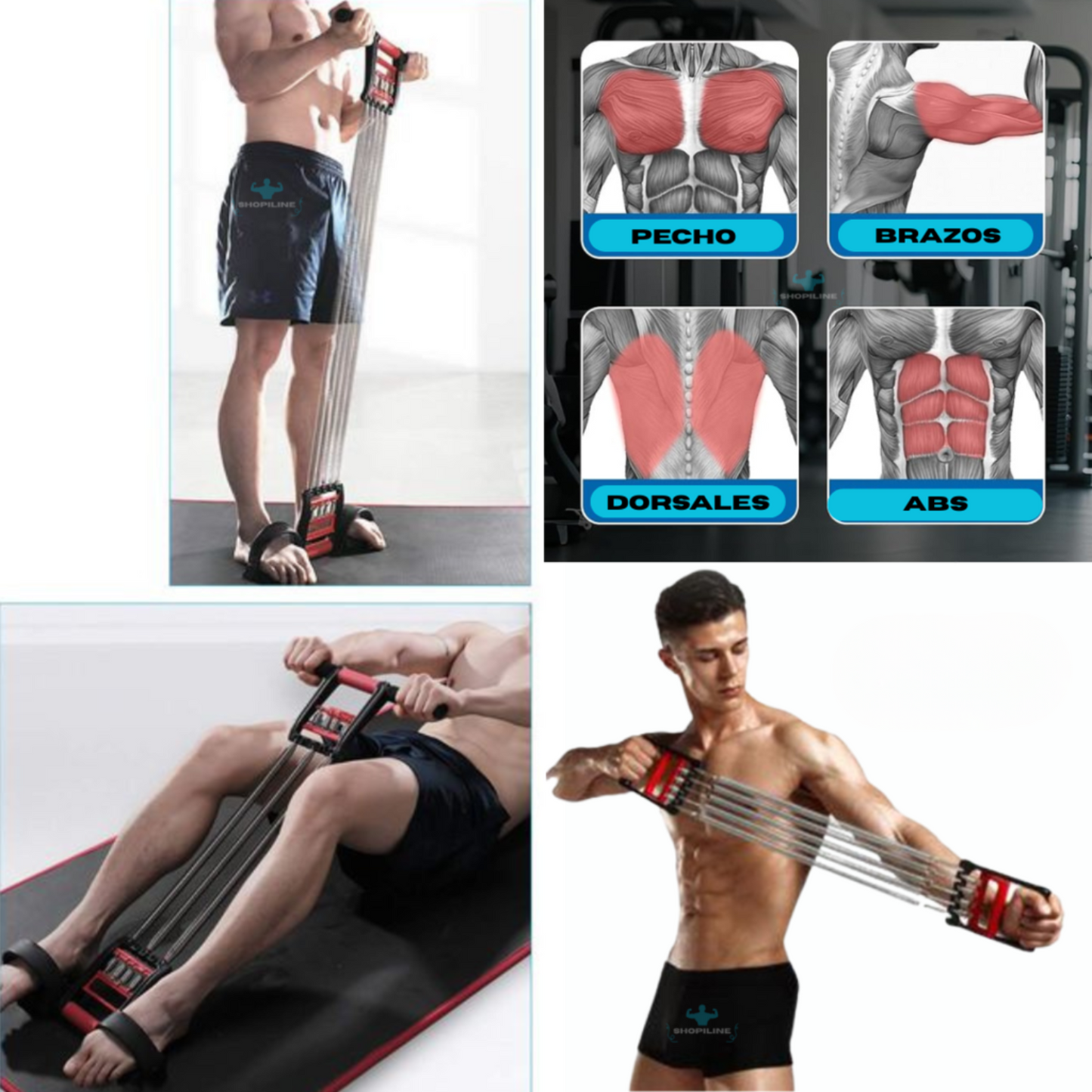 💪 PowerFlex™ Tu gimnasio de tren superior en una sola herramienta