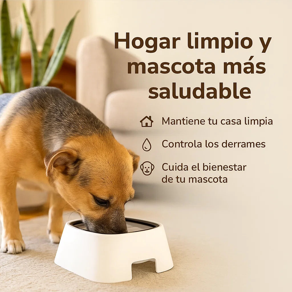 CleanPet – De regueros diarios a un hogar limpio y sin bacterias